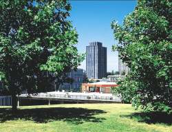 University of Essex